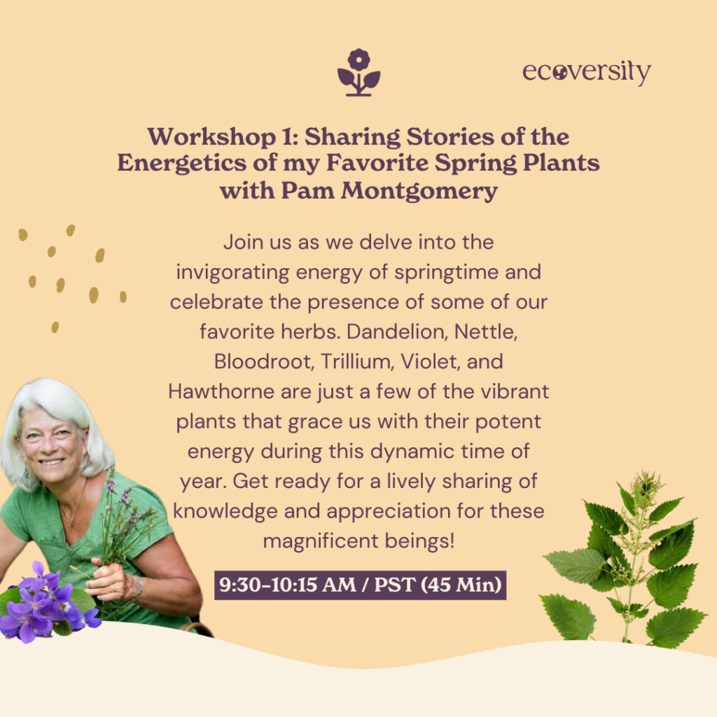 Sharing Stories of the Energetics of my Favorite Spring Plants with Pam Montgomery