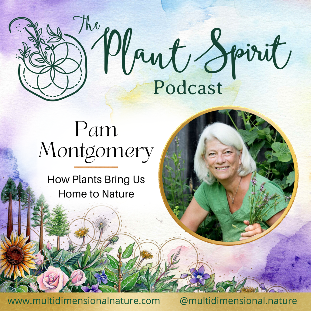 Plant Spirit Podcast (Pam Montgomery)